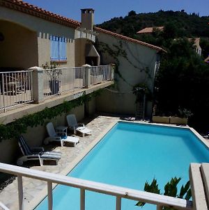 Magnifique villa piscine/Great villa swimming pool Banyuls-sur-Mer Exterior photo