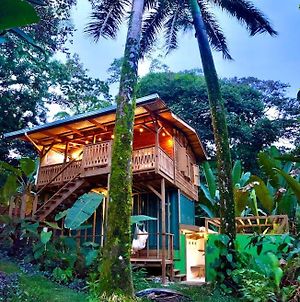 Villa Jungle Casita / Tree-Top Hideaway + Pool à Bocas del Toro Exterior photo