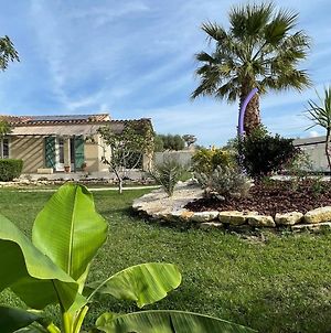 Villa Le Palmier de Mira - entre Uzège et Cévennes à Saint-Chaptes Exterior photo