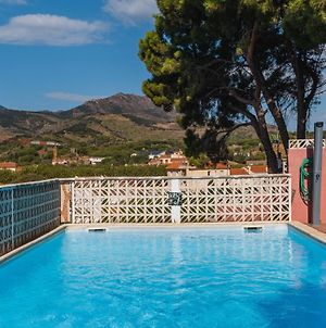 Appartement Regina'S Banyuls - 2 Terraces, Pool And Private Parking Exterior photo