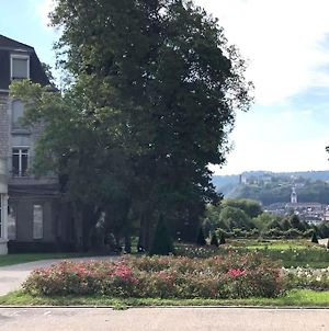 Appartement Le Bellevue - Parc, Gare et Vieille ville à Besançon Exterior photo