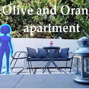 Olive And Orange Apartment Mystras Exterior photo
