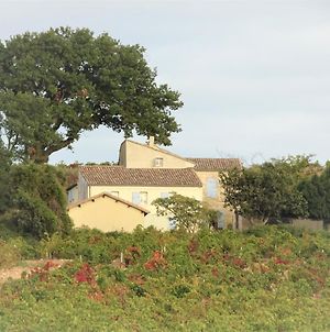 Villa Ferme de l'Arnesque à Châteauneuf-du-Pape Exterior photo