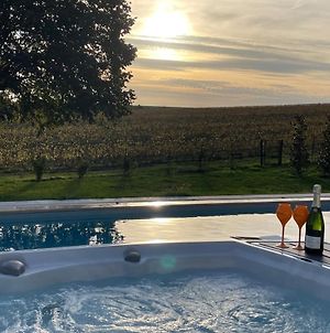 Best View And Spa On The Champagne Vineyard Saint-Thierry Exterior photo