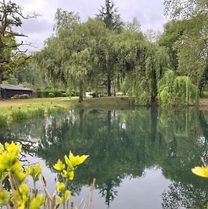 Villa La Maison Du Lac, Au Coeur De La Nature à Salles-Adour Exterior photo