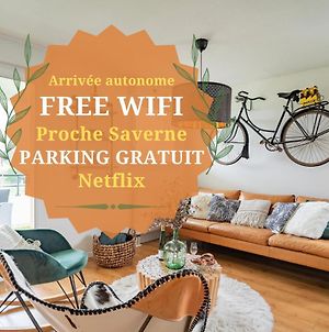 Appartement Le Vintage - Wifi - Parking Gratuit à Monswiller Exterior photo