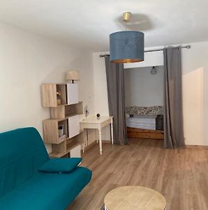 Appartement Le Manege à Chambéry Exterior photo