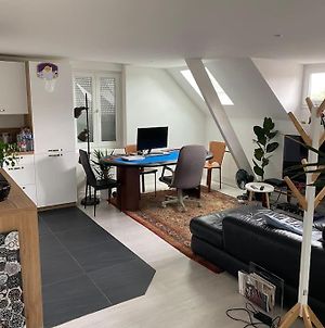 Appartement Duplex Strasbourg à Schiltigheim Exterior photo