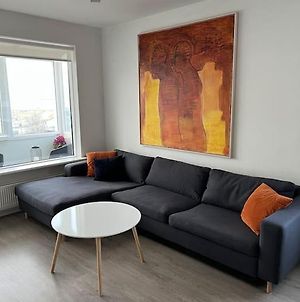 Lovely 1-Bedroom Apartment With Free Parking Space Reykjavik Exterior photo