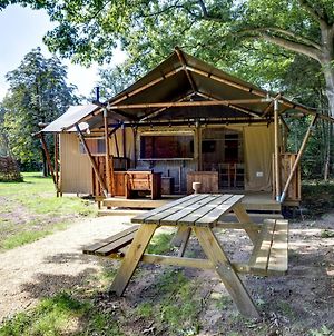 Glamping Tent With Sanitary Facilities, Located On A Holiday Park Near Zwolle Dalfsen Exterior photo