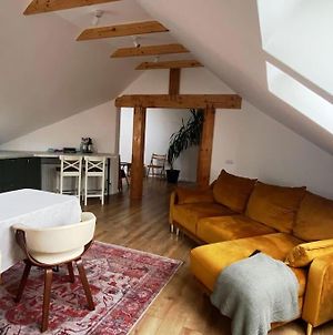 Appartement Peacefull Loft In Dumbrava Sibiu Exterior photo
