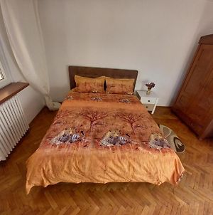 Appartement Autentic à Sibiu Exterior photo