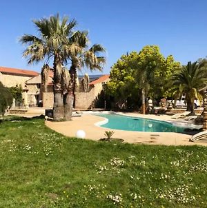 Villa de 5 chambres avec piscine privee jacuzzi et jardin clos a Laroque des Alberes Exterior photo