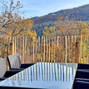 Quiet And Nature Holiday Home On The Cote Dazur Le Bar-sur-Loup Exterior photo