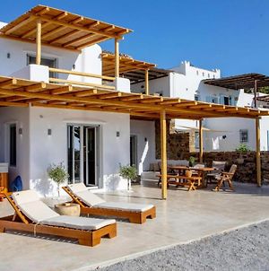 Beautiful Spacious Villa On Naxos Island Stelida  Exterior photo
