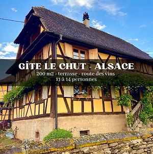 Gîte Le Chut - Alsace - 30 min Strasbourg Rangen Exterior photo