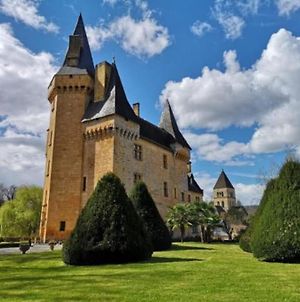 Chateau De Clerans Saint-Leon-sur-Vezere Exterior photo