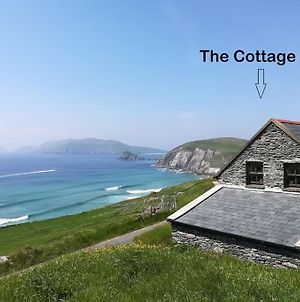 Coastal Cottage, Dingle On Wild Atlantic Way Exterior photo