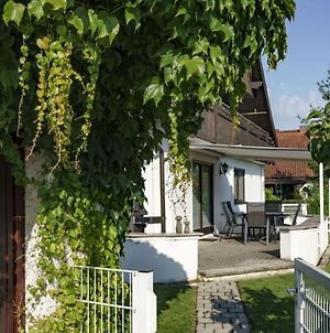 Villa Ferienhaus Wila à Wyhl am Kaiserstuhl Exterior photo