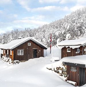 Stunning Home In Hemsedal With 5 Bedrooms Exterior photo