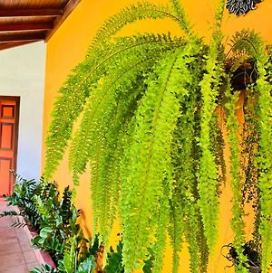 Bed and Breakfast Breeze Of Paradise à Colombo Exterior photo