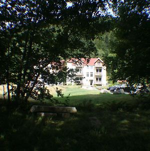 Résidence du Château Lublin La Bresse Exterior photo