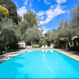 Beautiful Provencale Villa With Pool! Grasse Exterior photo