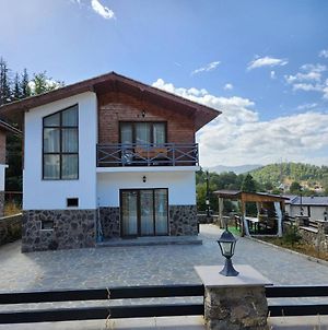 Villa In Mountains Bakouriani Exterior photo