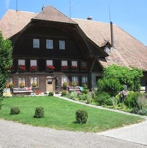 Appartement Bauernhof-Bleiche à Rohrbach Exterior photo
