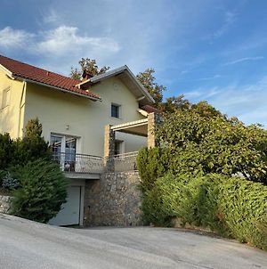 Villa Pod Bori à Dol pri Ljubljani Exterior photo