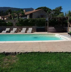 Magnifique villa piscine Propriano Olmeto  Exterior photo
