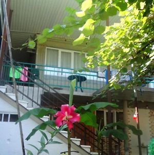 Hôtel У Азы à Pizunda Exterior photo
