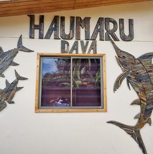 Hôtel Haumaru Dava à Hanga Roa Exterior photo