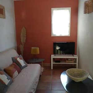Appartement Vacances en petite Camargue proche de la mer à Aigues-Mortes Exterior photo