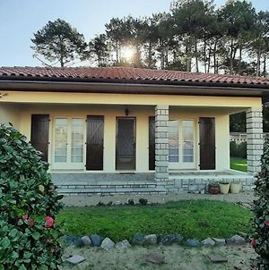 Villa La maison de Maritxu - Entre plage et foret - Landes - Pays Basque à Tarnos Exterior photo