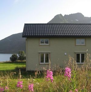 Charming House By The Sea, Lofoten! Laupstad Exterior photo