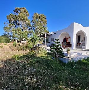 Villa Maison De Vacance Pour Les Amateurs De La Nature à Kelibia Exterior photo