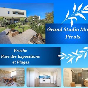 Appartement Grand Studio Moana Proche Parc Exposition Et Plages à Pérols Exterior photo