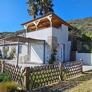 Mini villa T2 climatisée, vue mer, cosy&moderne Olmeto  Exterior photo