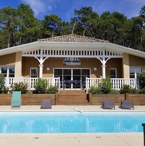 Villa Avec Piscine Dans La Pinede A 4Min De L'Ocean Lacanau Exterior photo