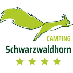 Hôtel Campingplatz Schwarzwaldhorn à Simonswald Exterior photo