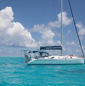 Hôtel Bora Bora Cruise And Dive Exterior photo