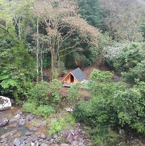 Tiny Cabin Lost In The Jungle Panama  Exterior photo