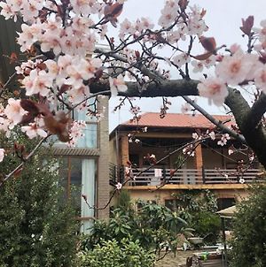 Batumi Wonderland Guest House Exterior photo