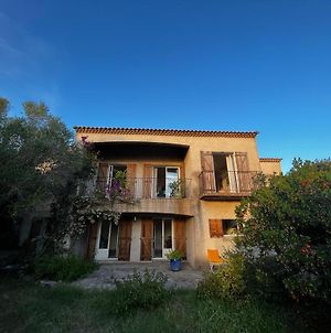 Villa Superbe Maison Idyllique Au Charme Corse, Vue Mer à Olmeto  Exterior photo