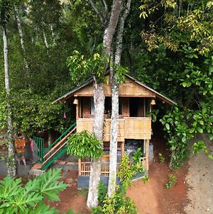 Hôtel Fab - Bamboo Hut With Open Shower à Munnar Exterior photo