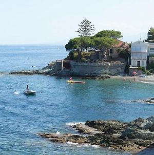 Cap Corse une villa dans un nid de verdure San-Martino-di-Lota Exterior photo