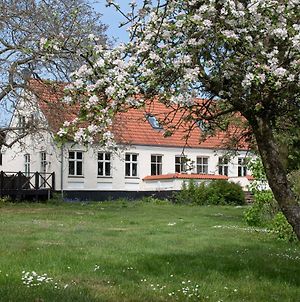 Villa Feriehuset Ornereden à Rønne Exterior photo