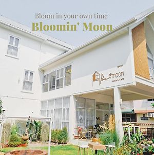 Bloomin' Moon Hostel & Cafe, Chiang Mai Old Town Exterior photo
