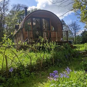 Hôtel Caban Delor. Off-Grid Glamping Experience. Walking Distance Into Caernarfon. 20-Min Drive To Snowdonia Or Anglesey. Exterior photo